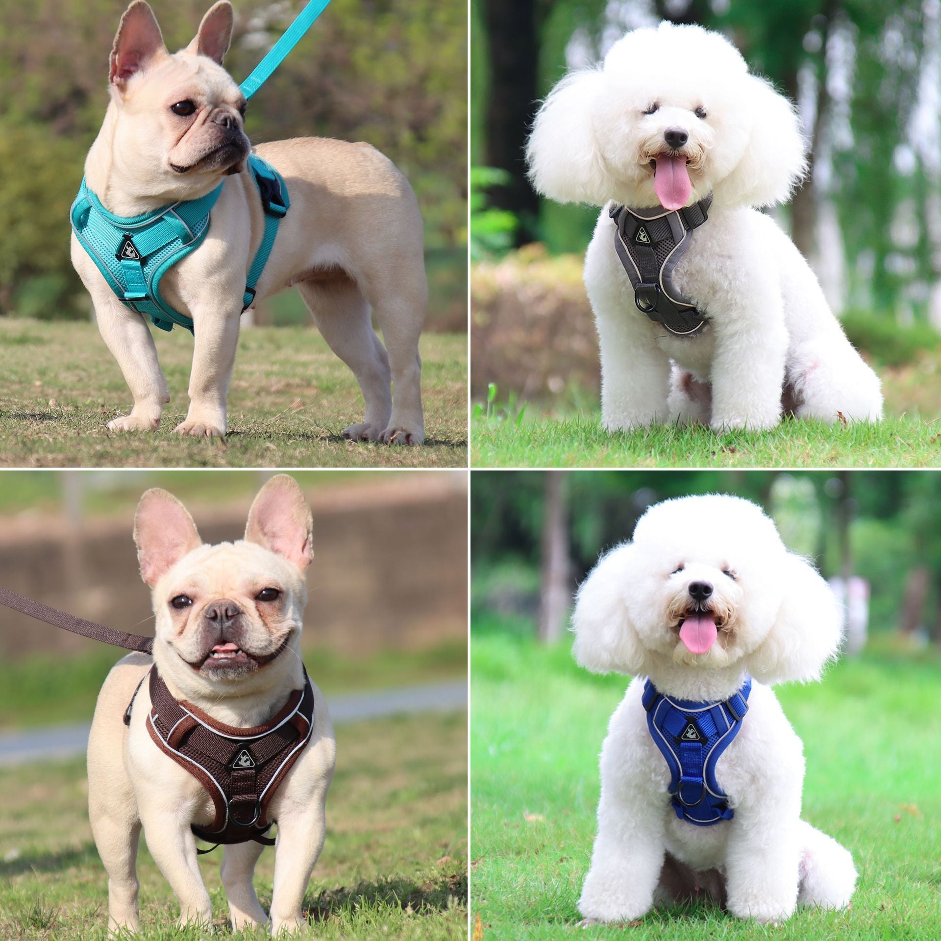 Pet Leash Reflective Breathable Cat Harness Vest Style Small Cat Breathable Reflective